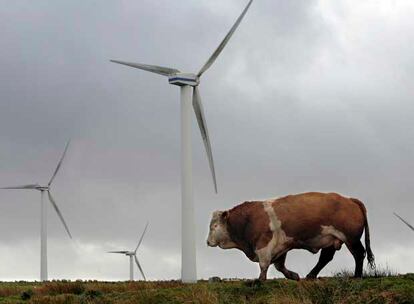 El cambio climático está fomentando el empleo de energías renovables en todo el mundo.