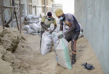 Labana Rice Mills es una de las principales compañías de producción de arroz de Nigeria: abastece a todos los rincones del país. En la imagen, trabajadores cierran sacos con el producto de desecho del arroz.