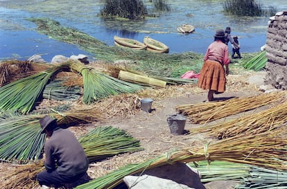 Recoleción y preparación de la totora. Isla Suriki, lago Titicaca (Bolivia), en 1977.