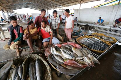 Unos vendedores de pescado esperan a los clientes en el puerto de Hodeida. La seguridad alimentaria de alrededor de 124 millones de personas en todo el mundo estuvo bajo una grave amenaza a fines del año pasado, principalmente a causa del empeoramiento de los conflictos y la sequía, según un reciente informe publicado por la Unión Europea y la Onu. Yemen continuará sufriendo la mayor crisis alimentaria de lejos, según el documento. "Se espera que la situación se deteriore, particularmente debido al acceso restringido, el colapso económico y los brotes de enfermedades".