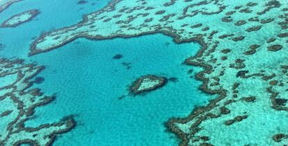 Vista aérea de la gran barrera de coral en la costa de Queensland (Australia).