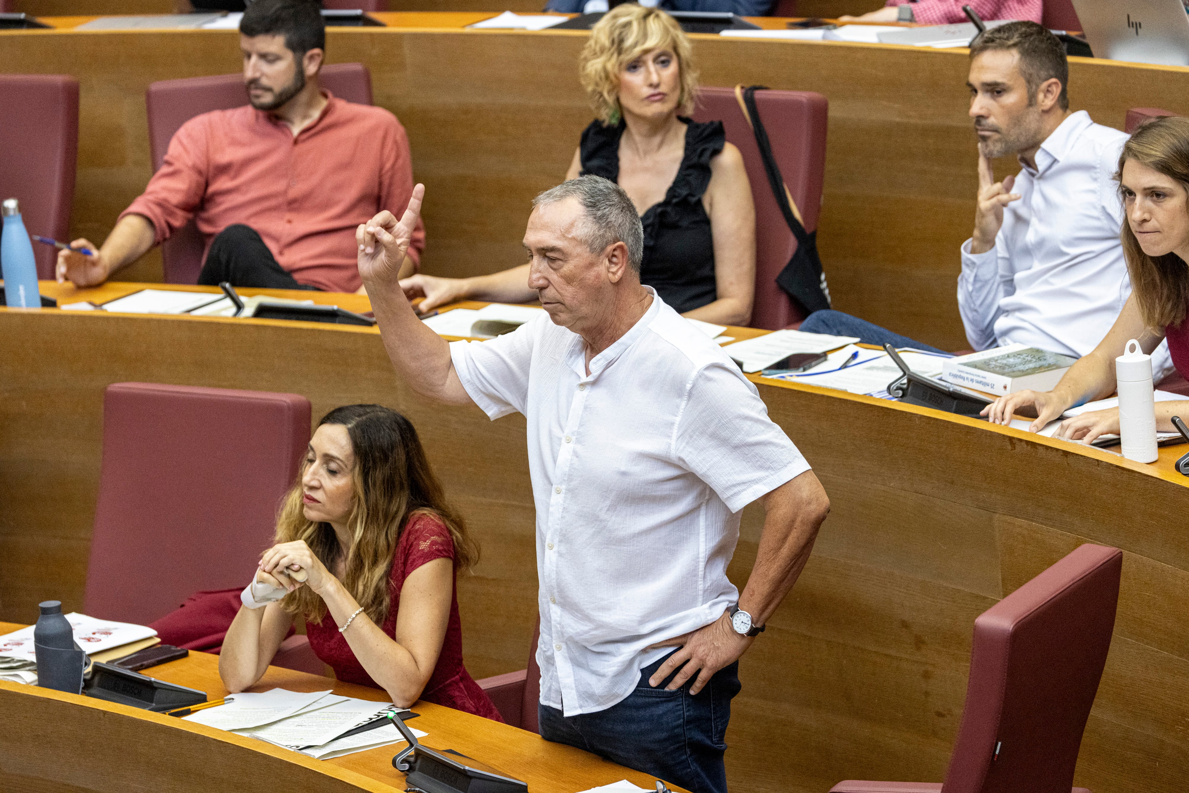 El portavoz parlamentario de Compromís, Joan Baldoví, de pie, en uno de los plenos de las Cortes Valencianas.