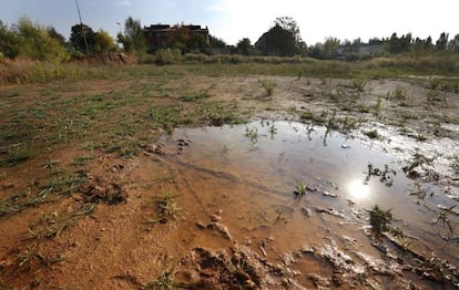 Terrenos donde se tenía que construir el complejo deportivo Mira-sol.