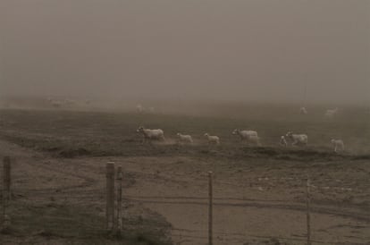 La nube de ceniza volcánica del Grimsvoetn ha tapado la luz del día en las localidades cercanas y ha cubierto inmuebles y vehículos con una capa de ceniza gris.