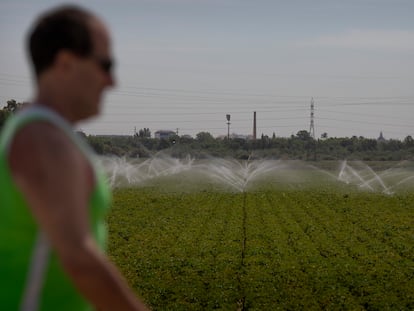 Fincas de regadío con aspersores en Camas (Sevilla), esta semana.