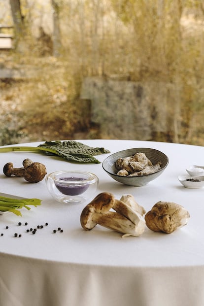 Ingredientes del plato borraja de Aragón con láminas de boletus, cocochas de bacalao y puré da patata violet trufado.