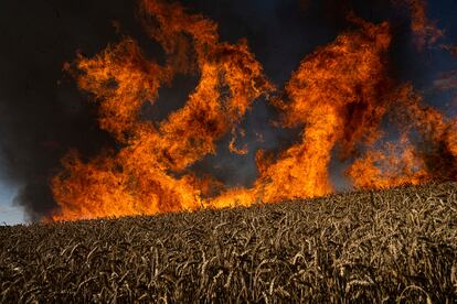 Un campo de trigo en llamas tras un bombardeo a pocos kilómetros de la región de Járkov, en julio de 2022.