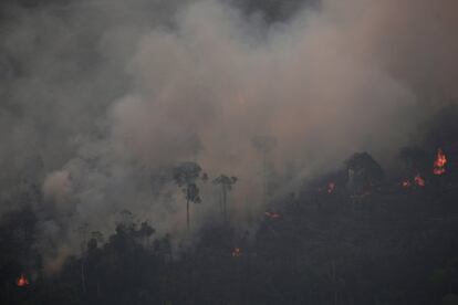 Las llamas consumen parte de la vegetación en un área de la selva amazónica cerca de Porto Velho, en el Estado de Rondonia, el 21 de agosto de 2019.