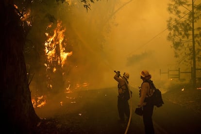 Esta foto foi feita no domingo, em Hill Road em Healdsburg.