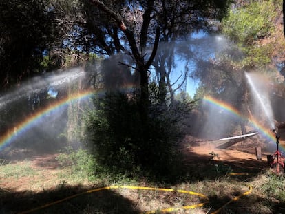 Los cañones de agua, que deberán instalarse en torres de seis metros de altura, lanzando agua al bosque de la Devesa de El Saler.