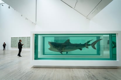 Un tiburón embalsamado en un tanque de formol, obra del artista británico Damien Hirst.