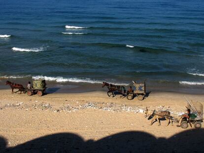Los viernes, activismo: un baño en Gaza