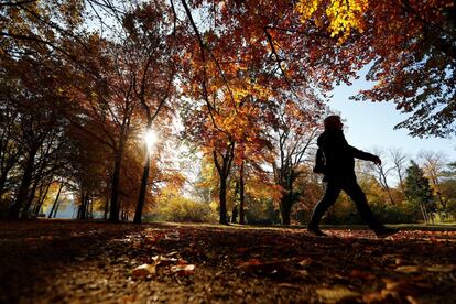 Una mujer pasea por el parque Tiergarten, en Berlín (Alemania), el 6 de noviembre de 2018. 