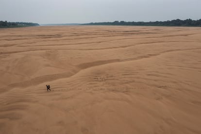 América del Sur. Sequía en el Amazonas. Un pescador caminaba por el lecho seco de un afluente del río Amazonas, cerca de la comunidad indígena Porto Praia (Brasil), el 13 de octubre de 2023 (publicado el 3 de abril de 2024).