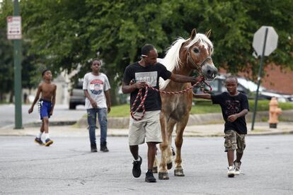 Bilal Yusuf Abdullah, en el centro, lleva un caballo a un establo árabe mientras es acompañado por los niños del vecindario, en Baltimore, Maryland (EE UU) .