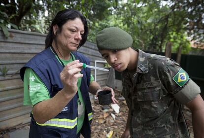 Funcionária da Secretaria de Saúde de SP mostra uma larva do mosquito ' Aedes aegypti'.