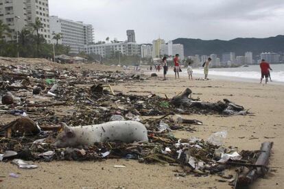 Un cerdo muerto yace entre los escombros en una playa en Acapulco .