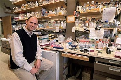 Juan Carlos Izpisúa Belmonte, en su laboratorio del Instituto Salk de California.