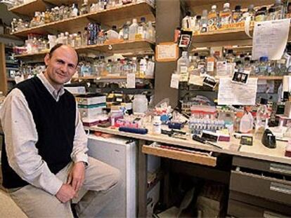 Juan Carlos Izpisúa Belmonte, en su laboratorio del Instituto Salk de California.