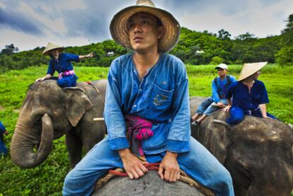 Turistas <i>mahouts</i>, en Chiang Rai (Tailandia)