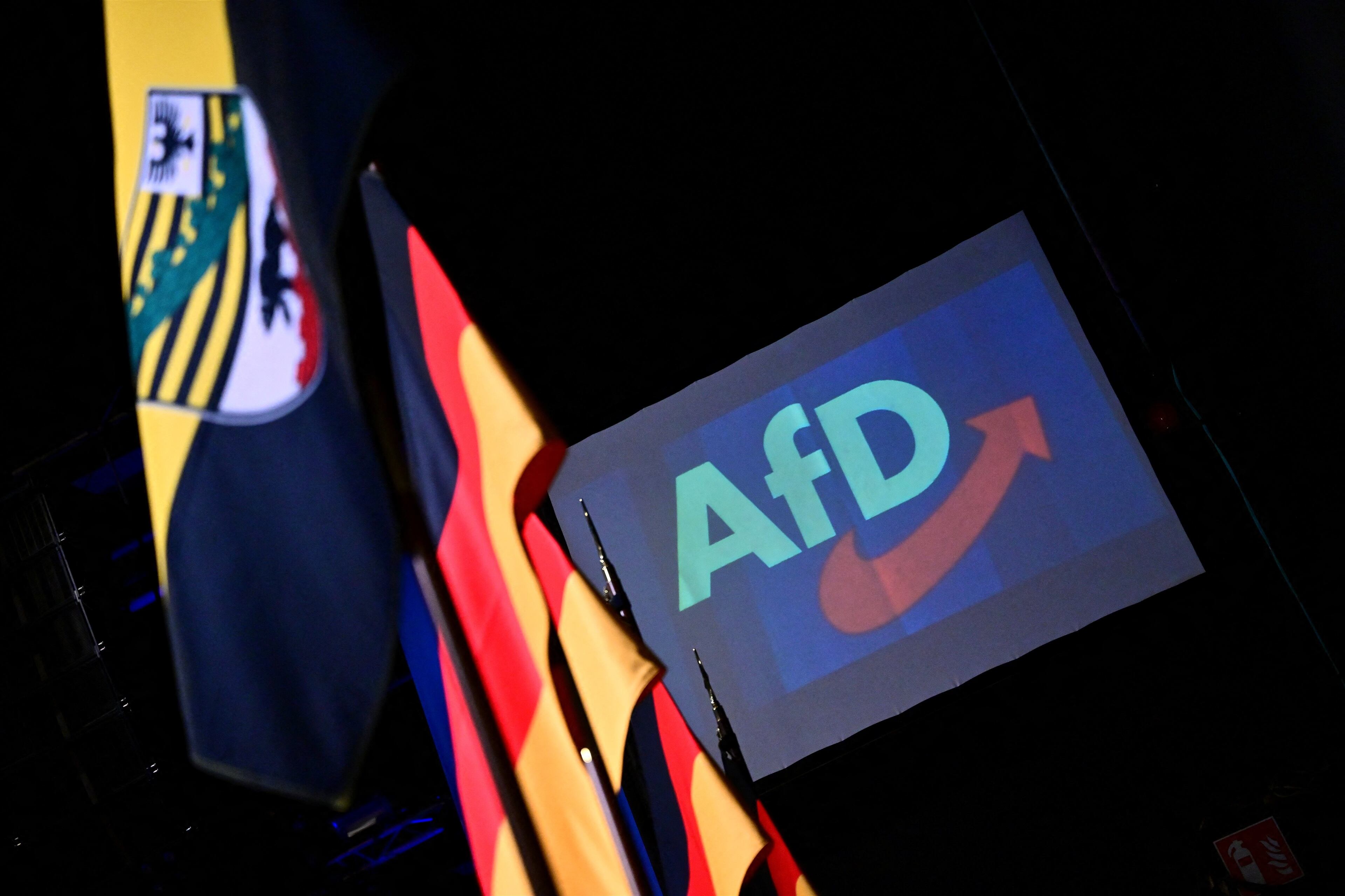 ¿Quién ha votado a AfD? Los apoyos de la extrema derecha en Sajonia-Anhalt por municipio, edad o situación económica