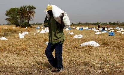 Un hombre recoge un saco con comida tras un lanzamiento desde el aire efectuado este sábado 18 de febrero por el Programa Mundial de Alimentos (PMA-WFP) en la aldea de Rubkuai, en el estado de Unity (Sudán del Sur).