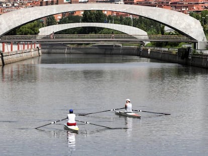 Dos remeros entrenan en el tramo 9 del río Manzanares.