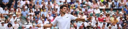 Djokovic golpea de derecha ante Goffin.