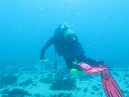 Un investigador de la US, en busca de gorgonias en el fondo marino del entorno de la Isla de Tarifa el pasado marzo.