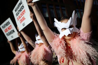 Un grupo de activistas de la organización 'Personas por el Trato Ético de los Animales' (PETA) protestan contra el uso de plumas en la ropa, antes de la Semana de la Moda de Londres, en Londres, Gran Bretaña.