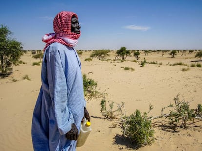 Las comunidades locales de la región del Lago Chad luchan contra la desertificación.