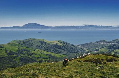 Vistas a la costa de Marruecos desde el mirador del Estrecho, en Tarifa.