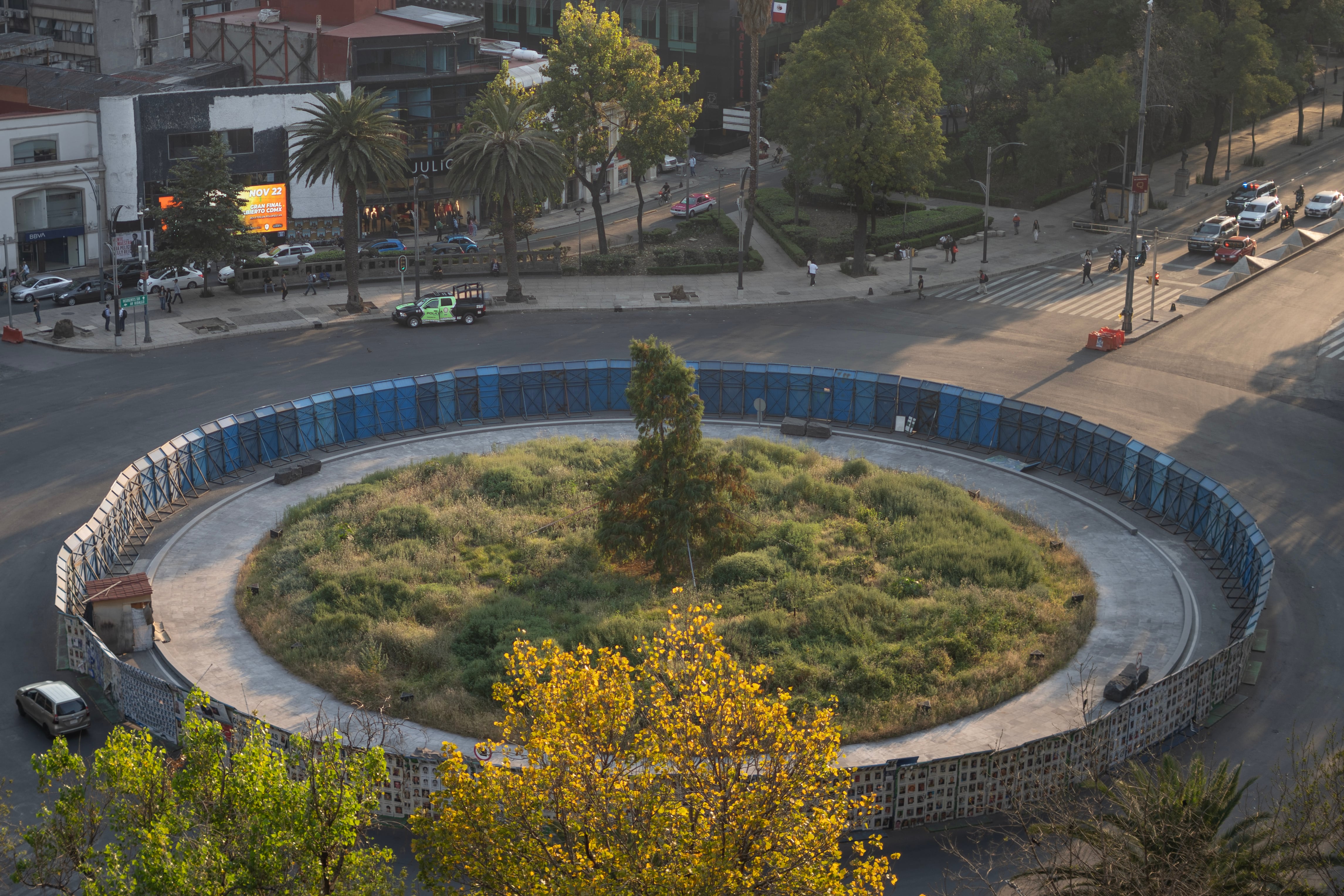 Un árbol como cuestión de Estado en México