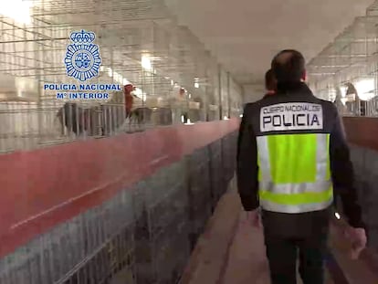 La Policía Nacional desarticula en Alicante un laboratorio clandestino con capacidad para producir 600 kilogramos de cocaína al mes.