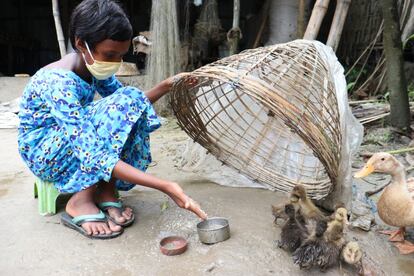 Mientras la madre de Konika va a trabajar al campo de arroz, la niña se queda sola en casa. En los ratos libres que tiene tras acabar sus tareas escolares ayuda en las del hogar y también da de comer a los patos y a las vacas. "Ahora puedo ganar algo cosiendo y gastarlo en mis estudios", dice. Una encuesta reciente estimó que 1,7 millones de niños, en su mayoría varones, están involucrados en trabajo infantil, uno de cada cuatro de ellos con edades comprendidas entre los seis y los 11 años.