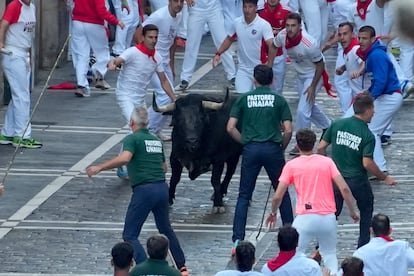 Uno de los toros de la ganadería Cebada Gago se queda retrasado y los pastores intentan reconducirlo.