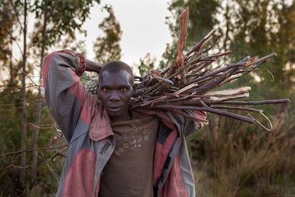 La deforestación de parte de las selvas africanas diezma la caza, forma de subsistencia de los batwa. Buscar leña y recoger agua es parte de las tareas diarias de los pigmeos, que no disponen de electricidad ni agua corriente.