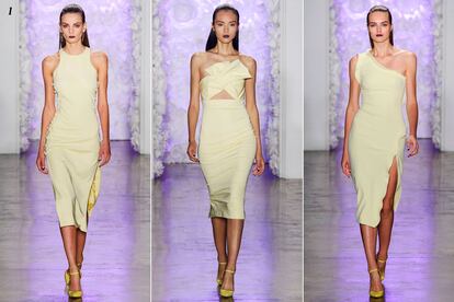 1. Cushnie et ochs.