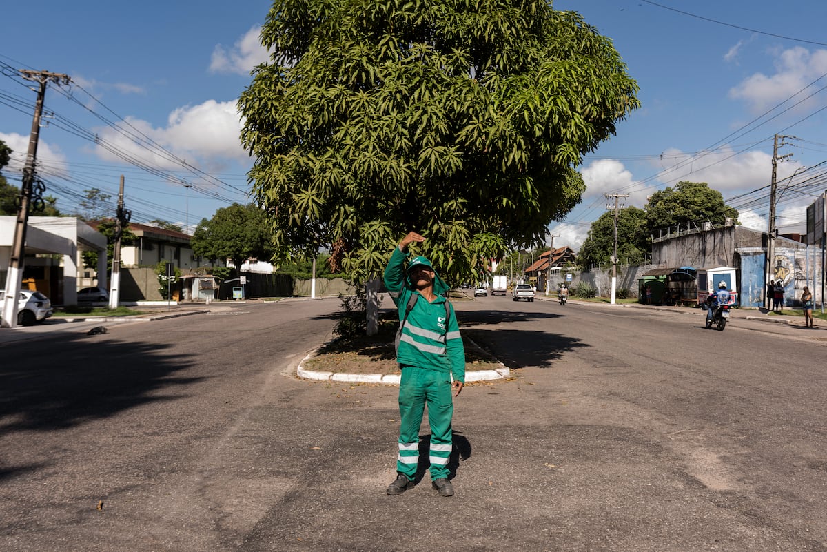 Belem, a furnace of a city that lost trees to host COP30