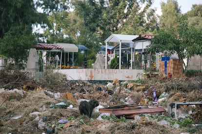 Basura en medio del cementerio vecinal de Lorenzo Tezonco, en Iztapalapa, Ciudad de México.