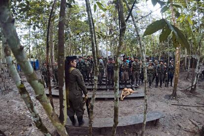 Guerrilleros del Bloque Sur, durante la formación diaria.