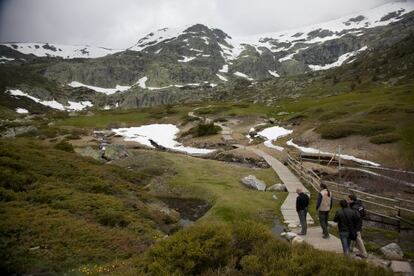 Members of the Madrid environment department examine unique flora in the Pe&ntilde;alara national park. 