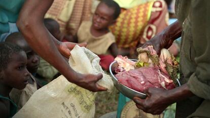 Reparto de carne de la vaca anual ofrecida por Pygmy Survival Alliance para las 51 familias de la comunidad.