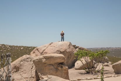 El desierto de Tecate es un territorio de serpientes cascabel, una de las especies más venenosas. Los internos la cazan y conservan como animales de compañía. En la imagen, un vigilante sobre una roca en los límites del centro rehabilitación controla que ningún interno intente escaparse, a unos pocos kilómetros del muro que separa México y Estados Unidos.