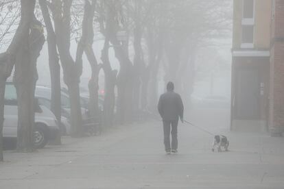 Un hombre paseaba a su mascota bajo la niebla en Vitoria, el pasado día 5 de enero.