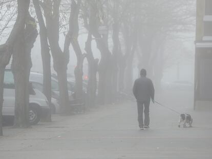 Un hombre paseaba a su mascota bajo la niebla en Vitoria, el pasado día 5 de enero.