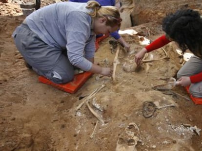 Arque&oacute;logos en la exhumaci&oacute;n de una fosa en Cazalla de la Sierra, en Sevilla.