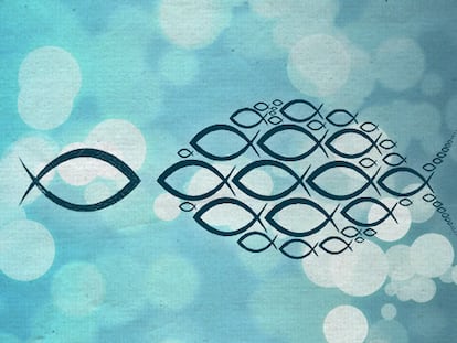 ¿Quieres triunfar? Vive como un salmón