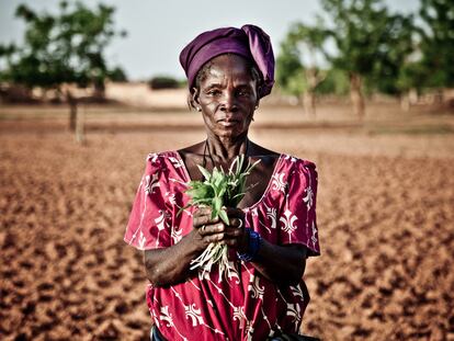 Tres años en Sahel