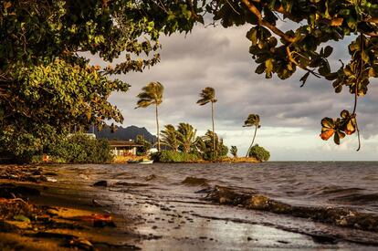 Hawái es un paraíso no solo para el surf, sino para el cine. Aquí se han rodado películas como Los descendientes o Parque Jurásico, y series como Lost. En la imagen, una playa de la costa norte de Oahu.